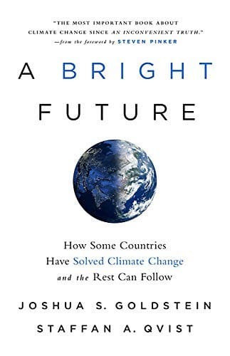 Cover of Bright Future