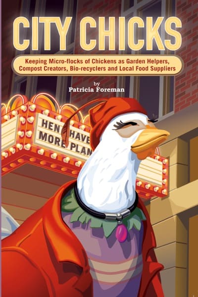 Cover of City Chicks