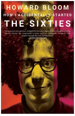Cover of How I Accidentally Started the Sixties