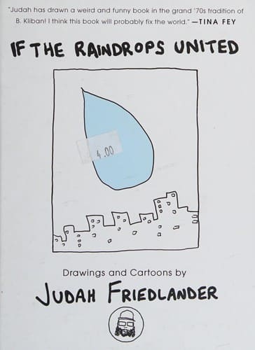 Cover of If the Raindrops United