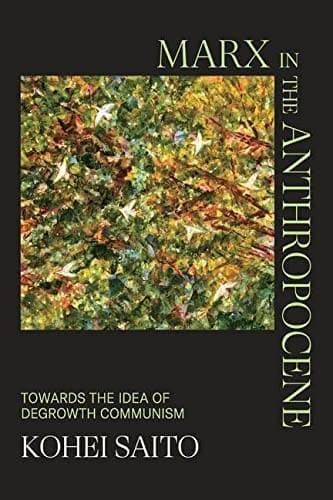 Cover of Marx in the Anthropocene