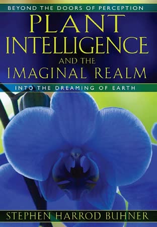 Cover of Plant Intelligence and the Imaginal Realm