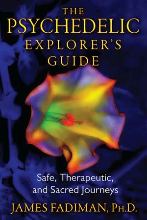 Cover of The Psychedelic Explorer's Guide